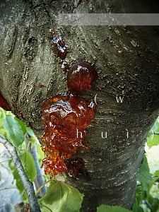 網(wǎng)貸逾期會(huì)不會(huì)被禁微信(網(wǎng)貸逾期會(huì)凍結(jié)微信嗎?)