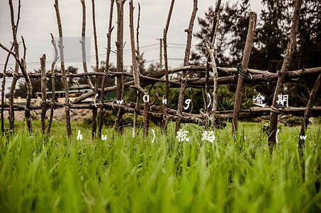網(wǎng)貸逾期會(huì)不會(huì)被起訴（網(wǎng)貸平臺(tái)為什么不敢起訴逾期者）