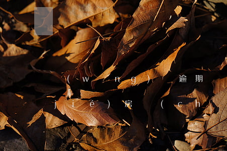 網(wǎng)貸逾期會(huì)凍結(jié)房產(chǎn)么(網(wǎng)貸逾期會(huì)凍結(jié)房產(chǎn)么)