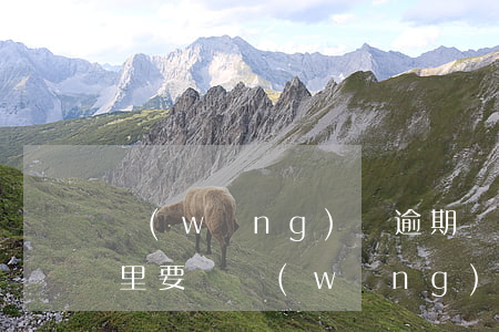網(wǎng)貸逾期會(huì)到公司里要嗎(網(wǎng)貸逾期不知道是哪個(gè)公司的怎么辦)