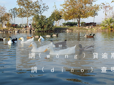 網(wǎng)貸逾期會(huì)到單位調(diào)查嗎(網(wǎng)貸逾期調(diào)查組是什么)