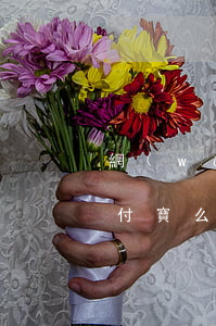 網(wǎng)貸逾期會(huì)劃走支付寶么