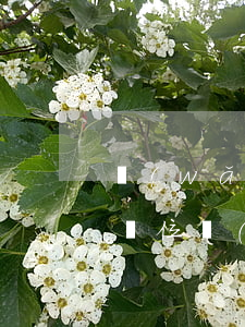 網(wǎng)貸逾期會(huì)去工作單位(網(wǎng)貸逾期司法部門會(huì)管嗎)