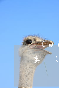 網(wǎng)貸逾期會(huì)去找居委會(huì)么