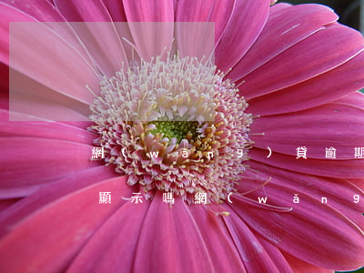 網(wǎng)貸逾期會(huì)在征信顯示嗎(網(wǎng)貸上征信逾期會(huì)怎樣)