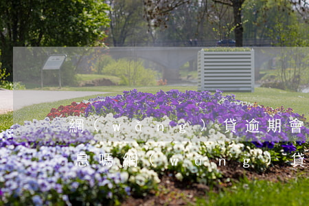 網(wǎng)貸逾期會(huì)多要利息嗎(網(wǎng)貸逾期的多嗎)