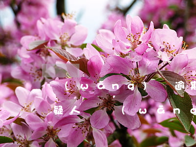 網(wǎng)貸逾期會(huì)弄成嫌疑人嗎(網(wǎng)貸逾期會(huì)弄成嫌疑人嗎)