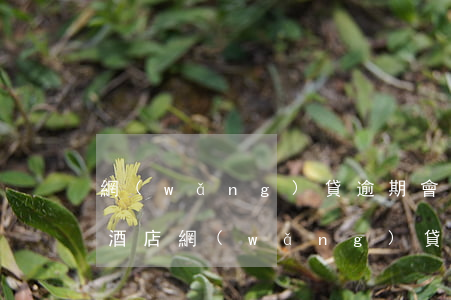 網(wǎng)貸逾期會(huì)影響住酒店(網(wǎng)貸逾期能住酒店嗎)