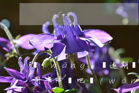 網(wǎng)貸逾期會(huì)影響信用卡降額吧(網(wǎng)貸逾期會(huì)影響信用卡降額吧嗎)