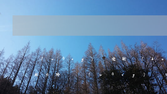 網(wǎng)貸逾期會(huì)影響信用卡降額(網(wǎng)貸逾期會(huì)影響信用卡降額嗎)
