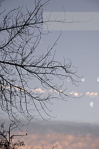 網(wǎng)貸逾期會(huì)影響參軍嗎(有網(wǎng)貸影響軍婚嗎)