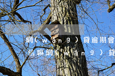 網(wǎng)貸逾期會(huì)影響征信嘛(網(wǎng)貸逾期會(huì)影響征信么)