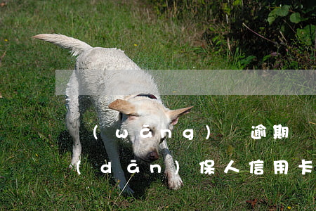 網(wǎng)貸逾期會(huì)影響擔(dān)保人信用卡(網(wǎng)貸逾期會(huì)影響信用卡還款嗎)