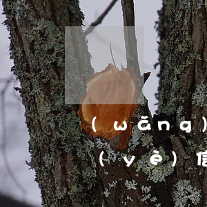 網(wǎng)貸逾期會(huì)影響興業(yè)信用卡嗎上海-網(wǎng)貸逾期會(huì)影響興業(yè)信用卡嗎上海銀行