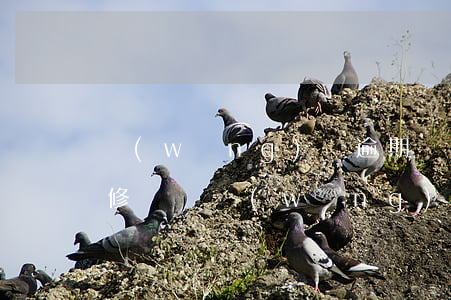 網(wǎng)貸逾期會(huì)影響裝修貸嗎(網(wǎng)貸逾期會(huì)影響貸款買房嗎)