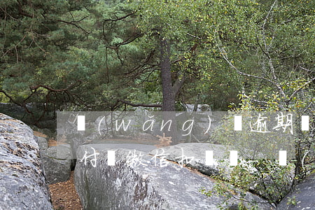 網(wǎng)貸逾期會(huì)從我支付寶微信扣錢嗎-網(wǎng)貸逾期會(huì)從我支付寶微信扣錢嗎安全嗎