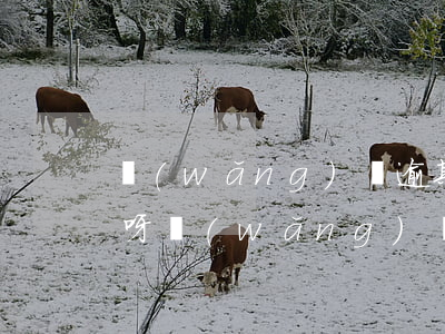 網(wǎng)貸逾期會(huì)怎么樣呀(網(wǎng)貸逾期后果嚴(yán)重嗎)