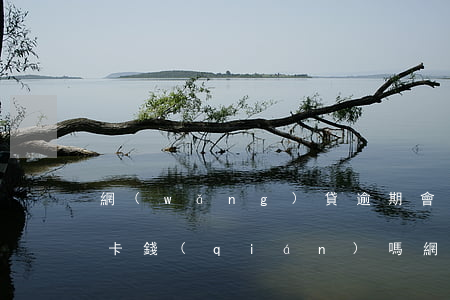 網(wǎng)貸逾期會(huì)扣別的卡錢(qián)嗎(網(wǎng)貸逾期會(huì)從銀行卡里扣錢(qián)嗎)
