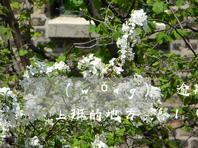 網(wǎng)貸逾期會(huì)找到你上班的地方來(lái)嗎-網(wǎng)貸逾期會(huì)找到你上班的地方來(lái)嗎是真的嗎