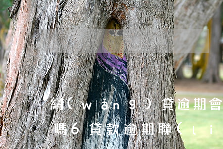 網(wǎng)貸逾期會(huì)找父母嗎6(貸款逾期聯(lián)系父母算犯法嗎)