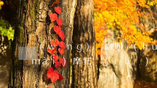 網(wǎng)貸逾期會(huì)拍賣(mài)摩托車(chē)嗎