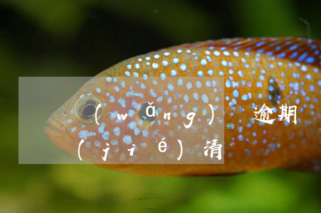 網(wǎng)貸逾期會(huì)提前結(jié)清嗎