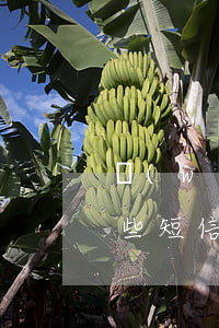 網(wǎng)貸逾期會(huì)收到哪些短信(網(wǎng)貸逾期后銀行發(fā)信息)