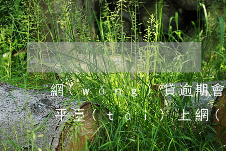 網(wǎng)貸逾期會(huì)曝光在平臺(tái)上(網(wǎng)貸逾期會(huì)網(wǎng)絡(luò)公布嗎)