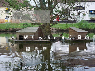 網(wǎng)貸逾期會(huì)查封按揭房產(chǎn)(欠網(wǎng)貸會(huì)查封按揭房嗎)