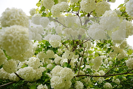 網(wǎng)貸逾期會(huì)發(fā)郵政快遞嗎(網(wǎng)貸逾期會(huì)寄郵政的快遞嗎)