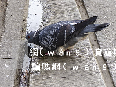網(wǎng)貸逾期會(huì)被告詐騙嗎(網(wǎng)貸逾期屬于合同詐騙嗎)