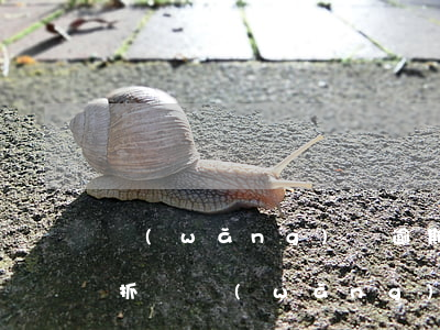 網(wǎng)貸逾期會(huì)被法院抓嗎(網(wǎng)貸逾期會(huì)被起訴嗎,法院受理嗎)