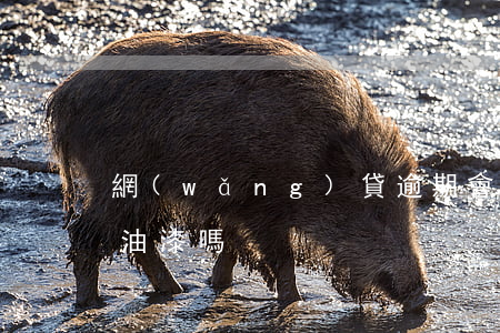 網(wǎng)貸逾期會(huì)被潑紅油漆嗎