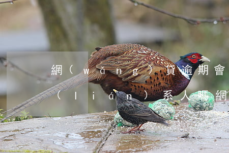 網(wǎng)貸逾期會(huì)被爆聯(lián)系人嗎(網(wǎng)貸逾期了被爆通訊錄合法嗎)