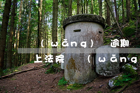 網(wǎng)貸逾期會(huì)被起訴上法院嗎 網(wǎng)貸逾期多久會(huì)被法院起訴