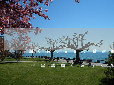 網(wǎng)貸逾期會(huì)被起訴坐牢嗎(網(wǎng)貸逾期會(huì)不會(huì)起訴)