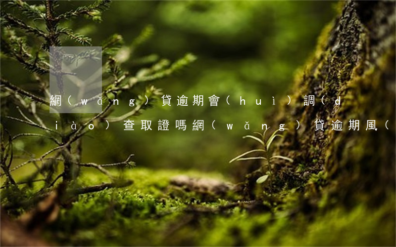 網(wǎng)貸逾期會(huì)調(diào)查取證嗎(網(wǎng)貸逾期風(fēng)險(xiǎn)調(diào)查部門)