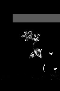 網(wǎng)貸逾期會(huì)起訴嗎(網(wǎng)貸逾期多久會(huì)被起訴會(huì)有什么后果)