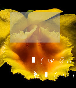 網(wǎng)貸逾期會(huì)起訴緊急聯(lián)系人嗎(網(wǎng)貸作為緊急聯(lián)系人會(huì)被起訴嗎)