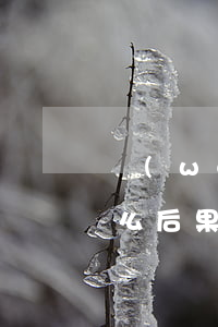 網(wǎng)貸逾期會(huì)造成什么后果(網(wǎng)貸逾期會(huì)有什么影響)