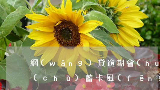 網(wǎng)貸逾期會(huì)造成儲(chǔ)蓄卡風(fēng)險(xiǎn)監(jiān)控嗎-網(wǎng)貸逾期會(huì)造成儲(chǔ)蓄卡風(fēng)險(xiǎn)監(jiān)控嗎知乎