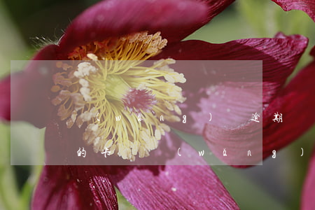 網(wǎng)貸逾期會(huì)鎖朋友的卡嗎(網(wǎng)貸逾期會(huì)凍結(jié)信用卡嗎)