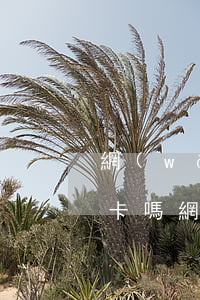 網(wǎng)貸逾期會(huì)鎖銀行卡嗎(網(wǎng)貸逾期會(huì)不會(huì)封銀行卡)