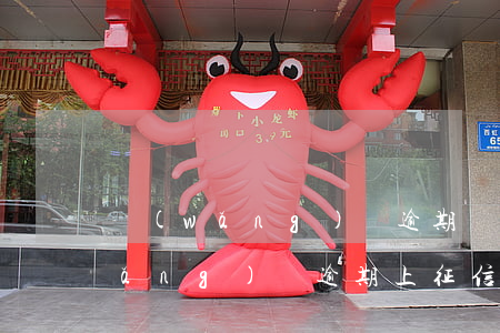 網(wǎng)貸逾期會上上征信嗎(網(wǎng)貸逾期上征信有什么后果)