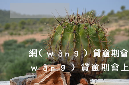 網(wǎng)貸逾期會上征信嗎?(小額網(wǎng)貸逾期會上征信嗎)