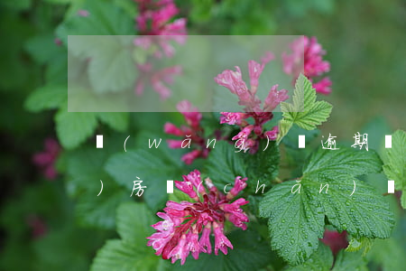 網(wǎng)貸逾期會不會凍結(jié)房產(chǎn)(網(wǎng)貸逾期被司法凍結(jié)了怎么辦)