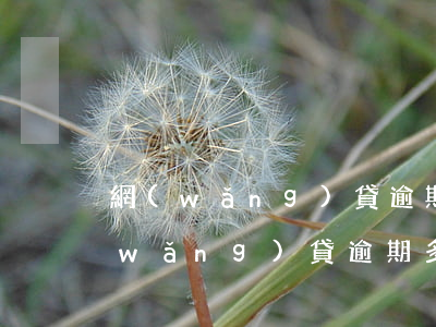 網(wǎng)貸逾期會不會影響出行(網(wǎng)貸逾期多久會影響出行)