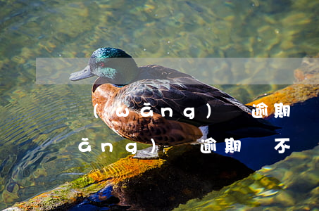 網(wǎng)貸逾期會不會打官司(網(wǎng)貸逾期會不會打官司)