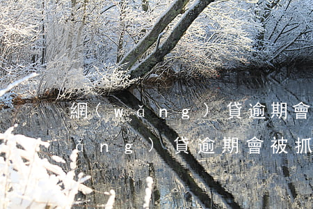 網(wǎng)貸逾期會不會抓親戚(網(wǎng)貸逾期會被抓嗎)