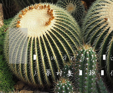 網(wǎng)貸逾期會不會聯(lián)系村委會和單位-網(wǎng)貸逾期會不會聯(lián)系村委會和單位呢
